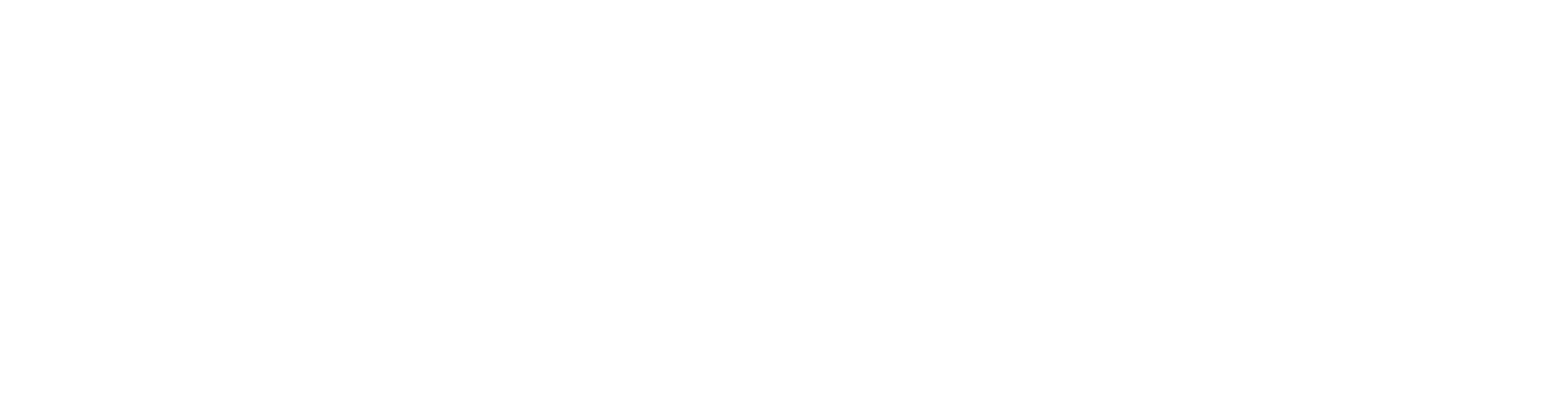 BUGICO SA